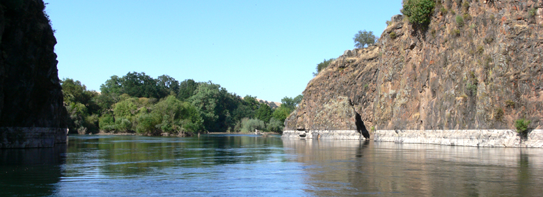 A Morning on the Stanislaus River